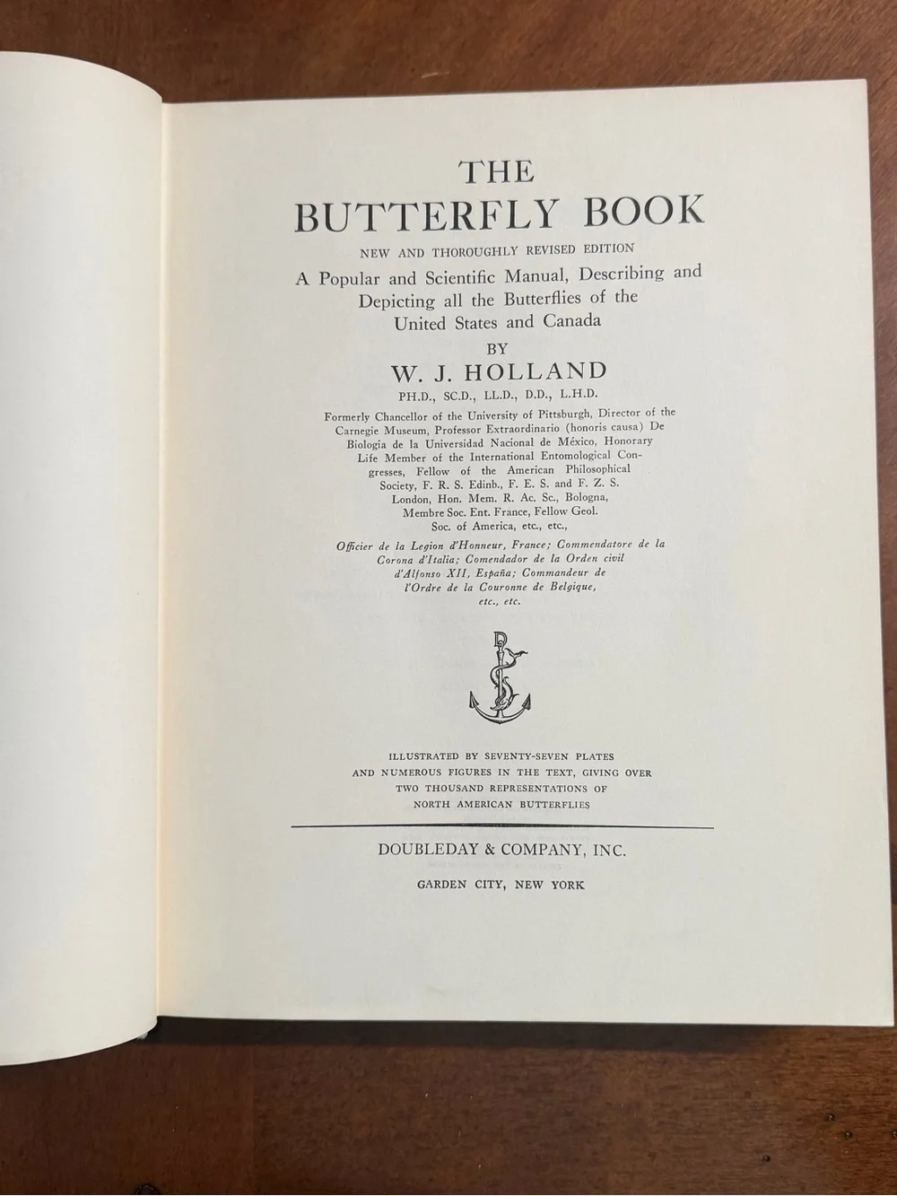 The Butterfly Book by - Teal Clothbound Coffee Table Book